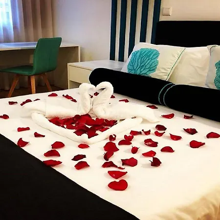 Bellu 招待所 吉马良斯