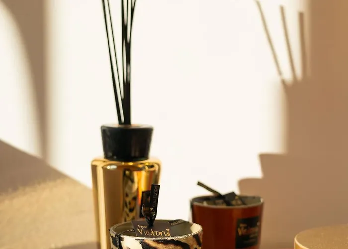 Bellu ゲストハウス